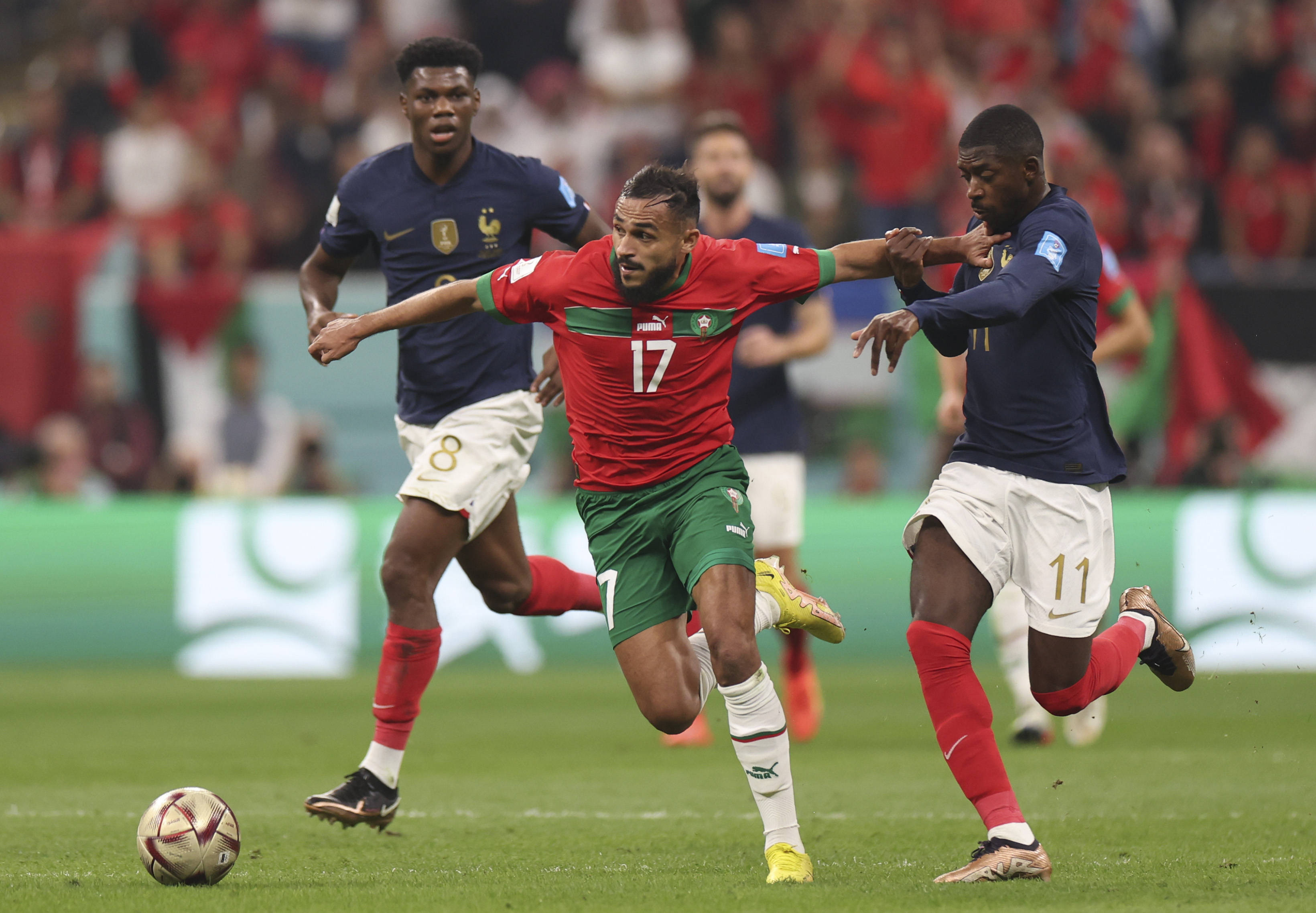 例如切尔西 例如切尔西