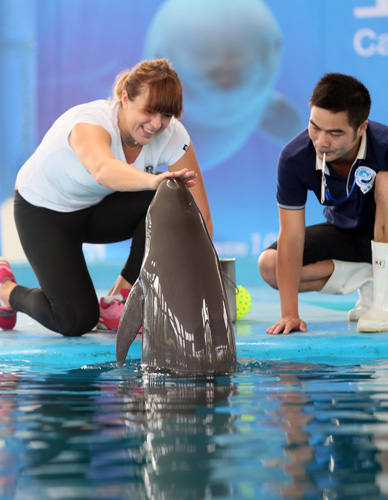 亚历山大 亚历山大