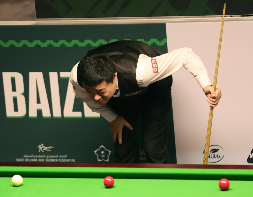 竞技水平的 竞技水平的