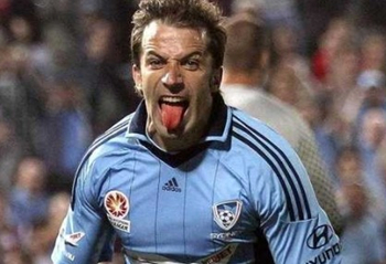 与专业竞速 与专业竞速